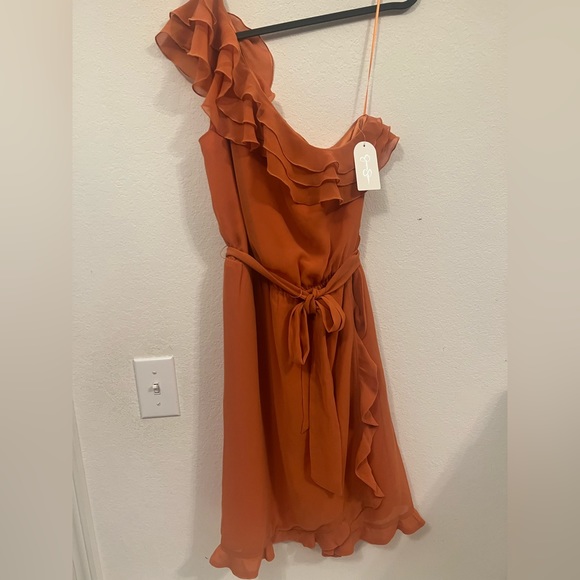 Jessica Simpson 💐One Shoulder Dress - Picture 3 of 15